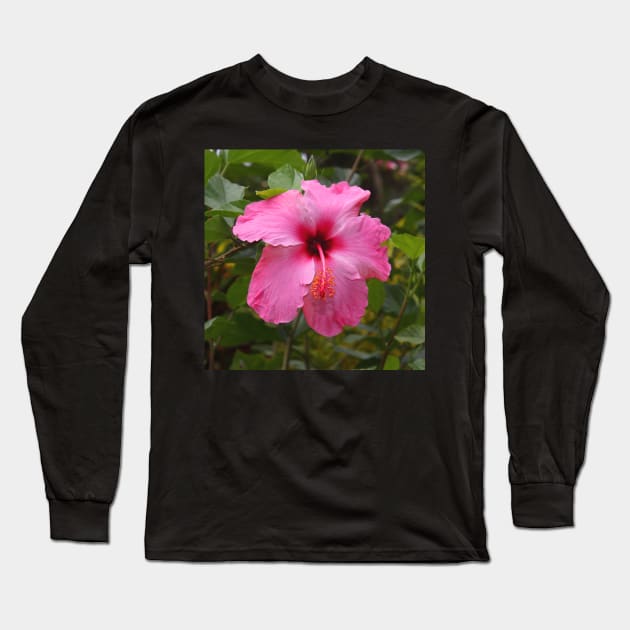 Pink Hibiscus Long Sleeve T-Shirt by Carole-Anne